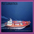 Cheap Sea Freight From China To Guadalajara San Pedro